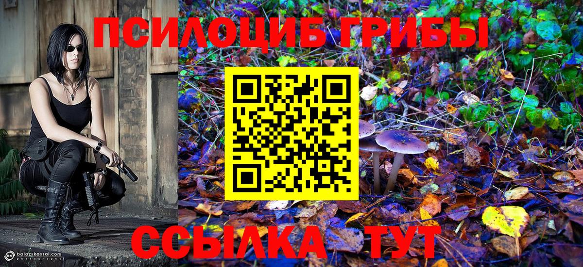 Галлюциногенные грибы Psilocybine cubensis Ахтубинск